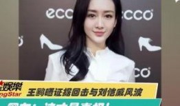 演员王钰爆料视频大全最新,揭秘娱乐圈幕后真相