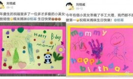 爆料神秘富豪视频大全集,视频大全集深度解析